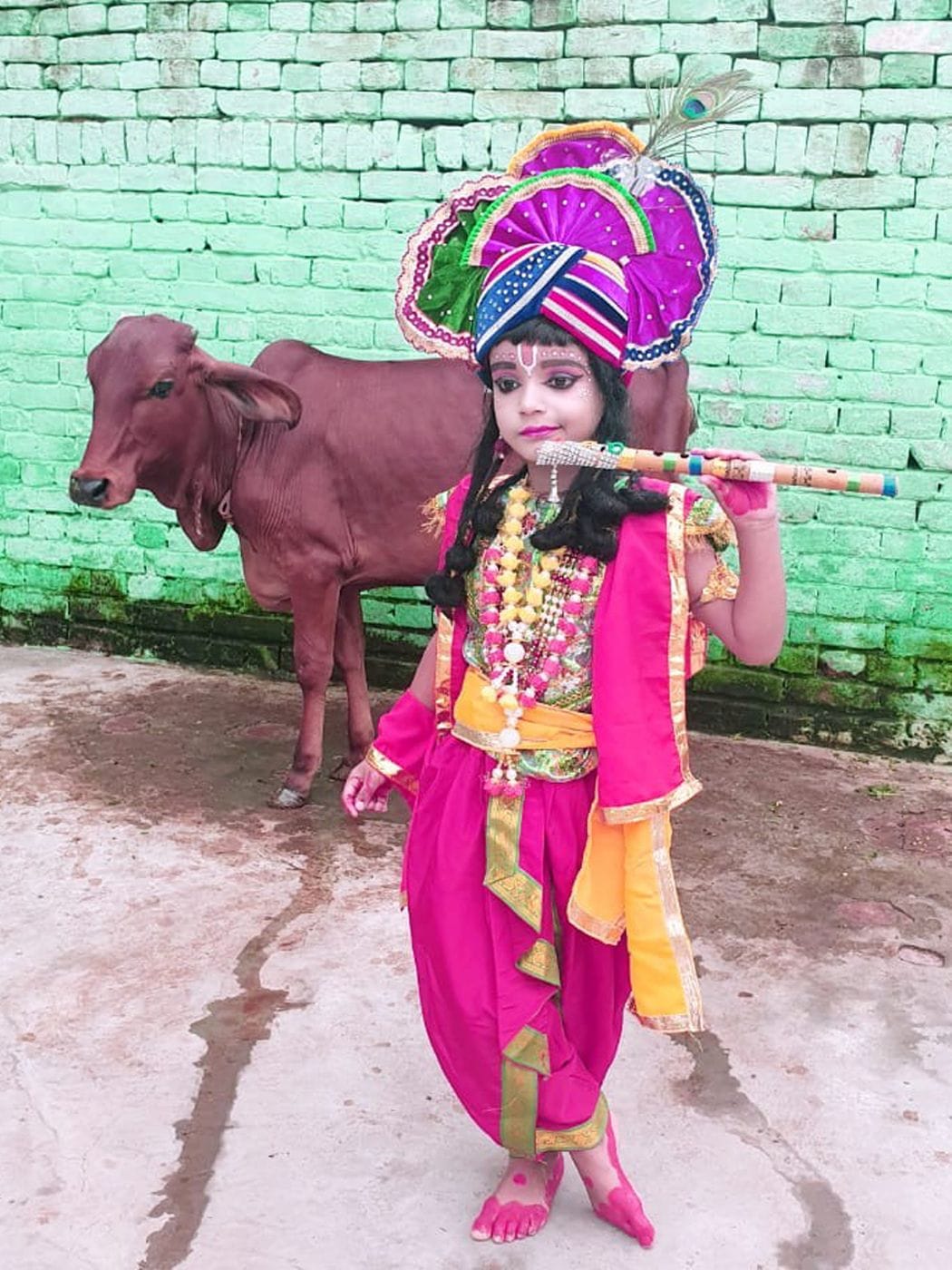 Students celebrated the festival of Shri Krishna Janmashtami