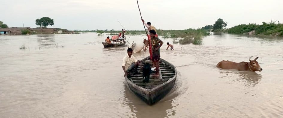 Mohana's fury and havoc continue in Tikuniya