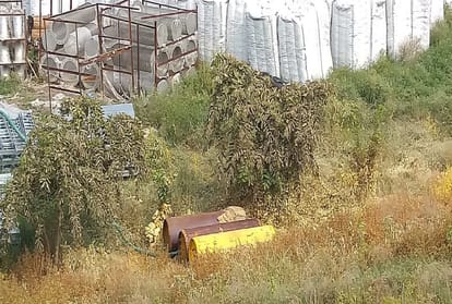 Prayagraj News: Choking of chlorine gas at Bakshi Dam water treatment plant caused chaos