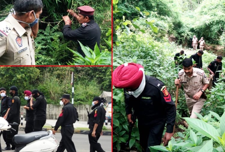 Joint search operation conduct by Punjab and Himachal police in Damtal