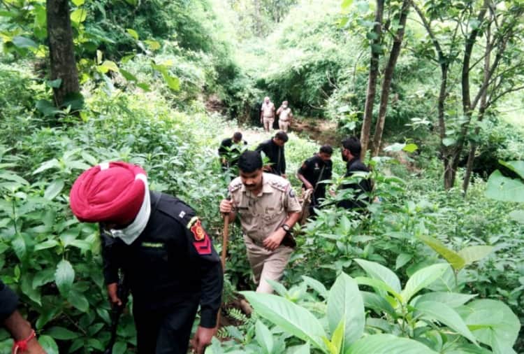 Joint search operation conduct by Punjab and Himachal police in Damtal