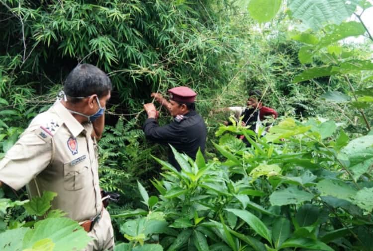 Joint search operation conduct by Punjab and Himachal police in Damtal