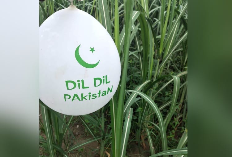 Punjab News in Hindi: Pakistani balloon found in Punjab's Pathankot