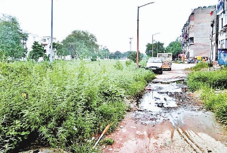 Reality Check of Sector 49 Chandigarh
