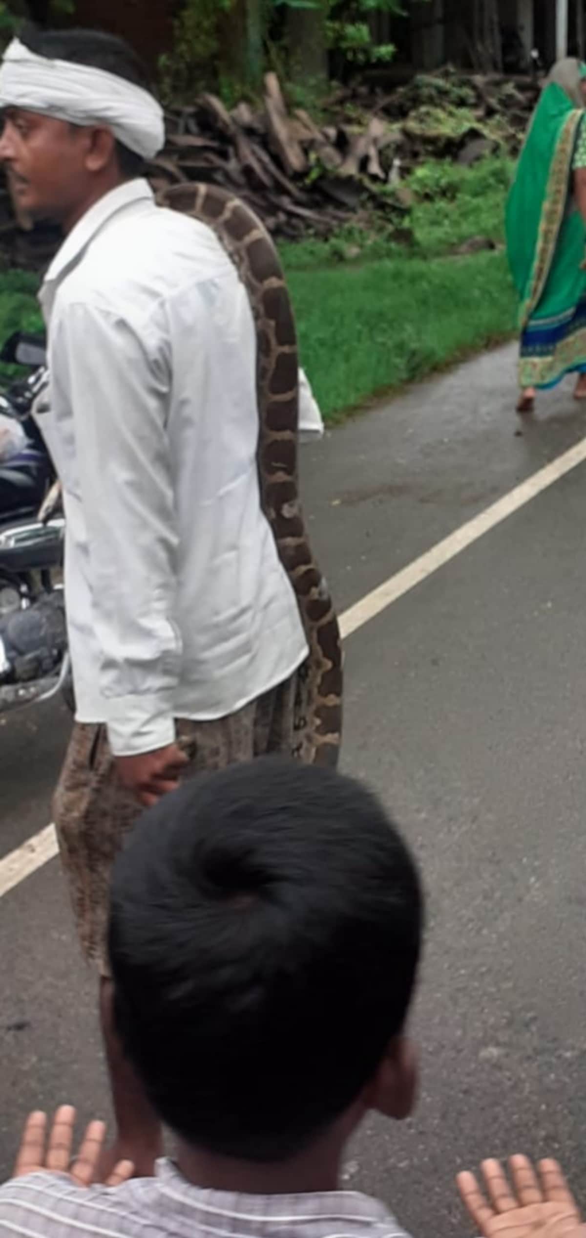 Drunk man wandered around putting python on his shoulder in azamgarh up