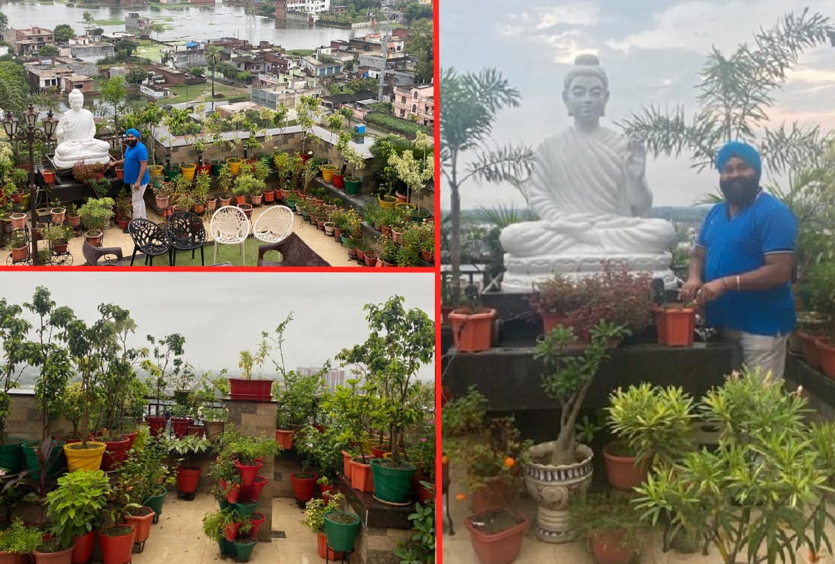 three terrace gardens done on 14th floor by Birendra Singh, director of Kohli Motors gorakhpur