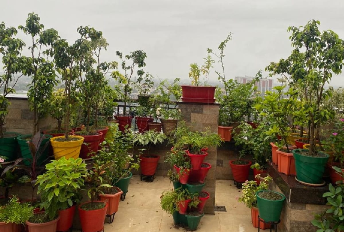 three terrace gardens done on 14th floor by Birendra Singh, director of Kohli Motors gorakhpur