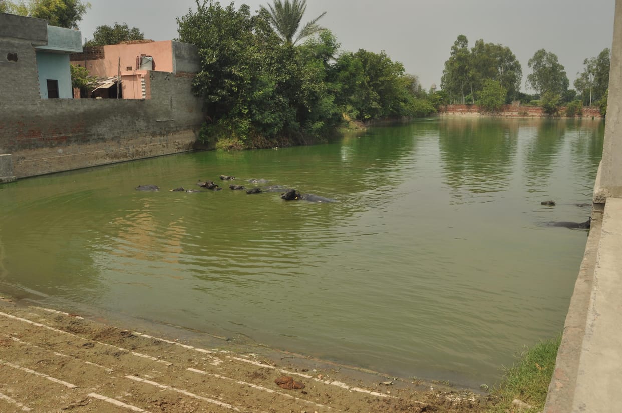 kanheli village story