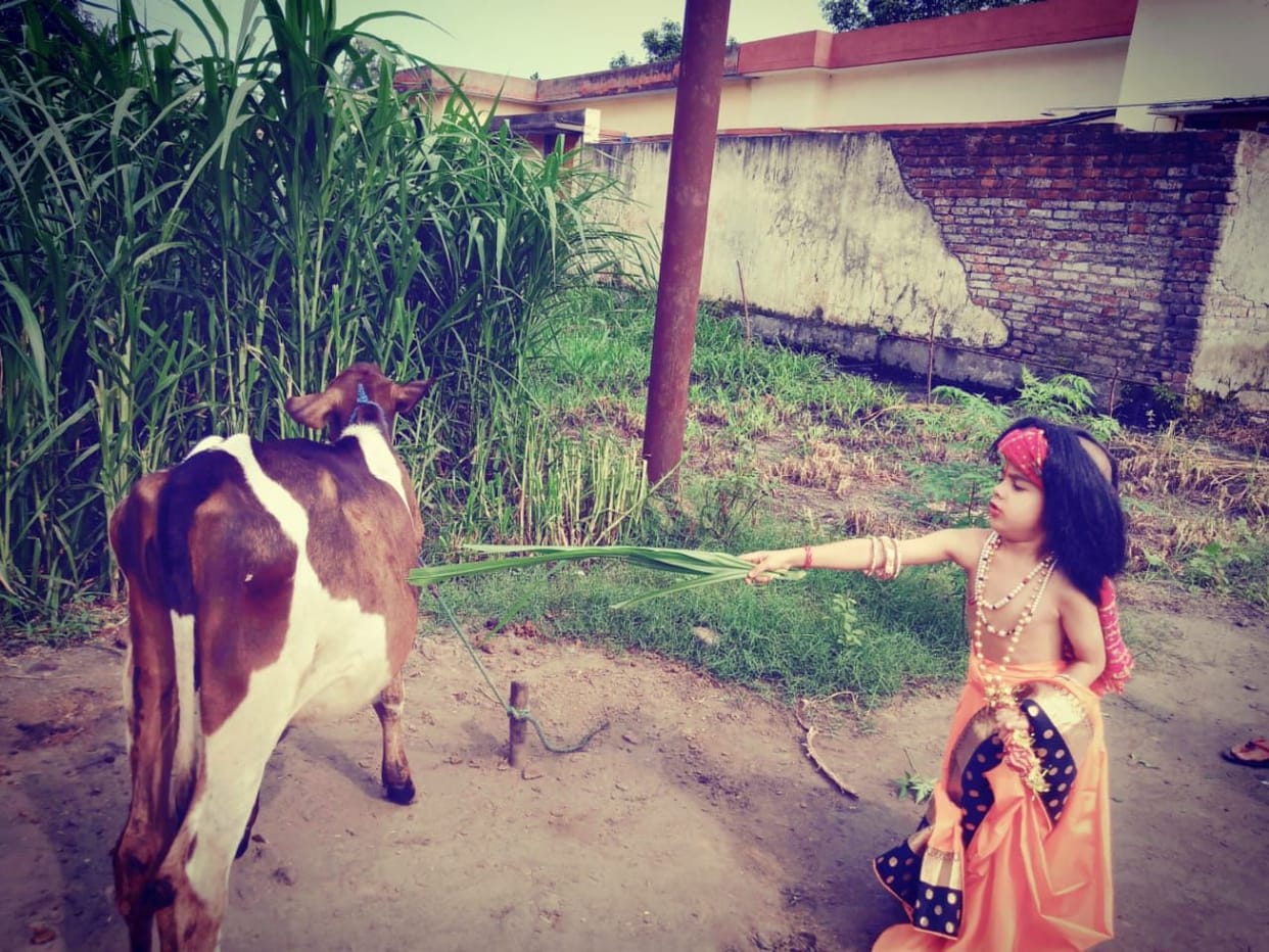 Shree Krishna's performance of child pastimes