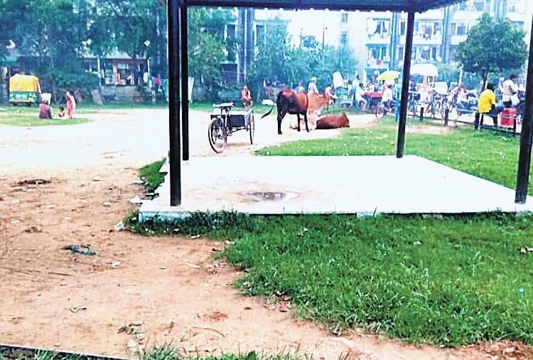 Reality Check of Mauli jagran Chandigarh