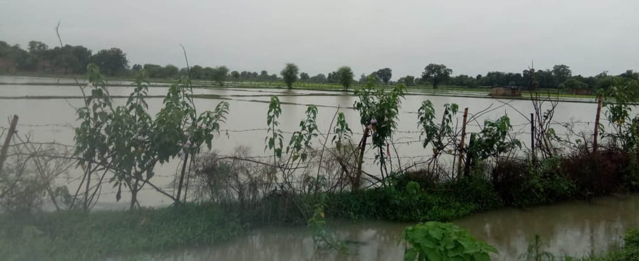 Monsoon trough line inundated Mandal