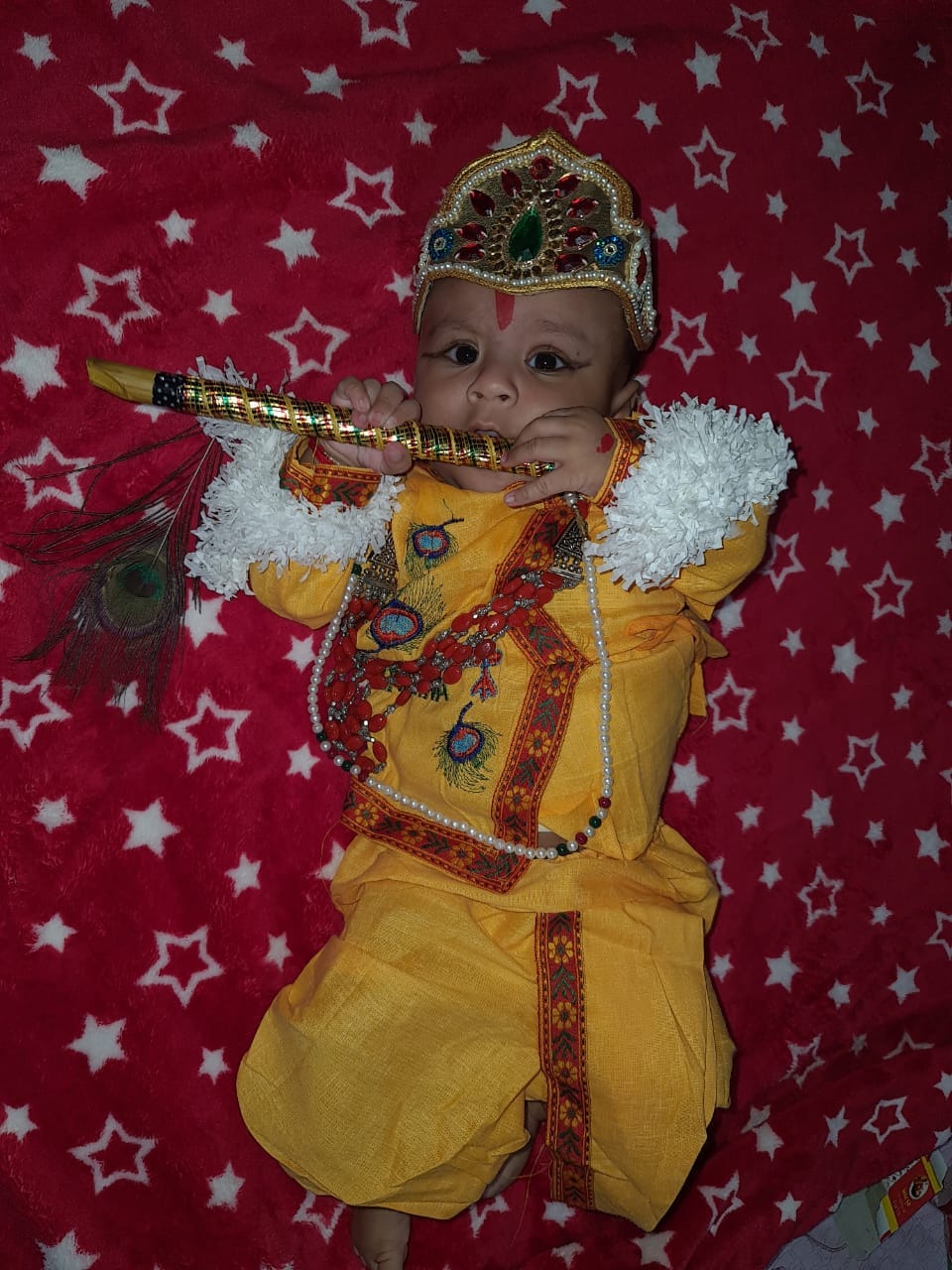 krishna celebrated