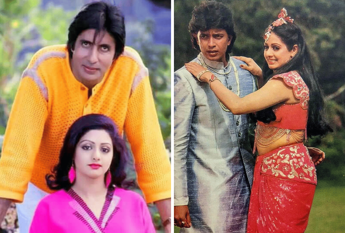 sridevi birthday special her perfect roles with amitabh bachchan rishi kapoor sunny deol
