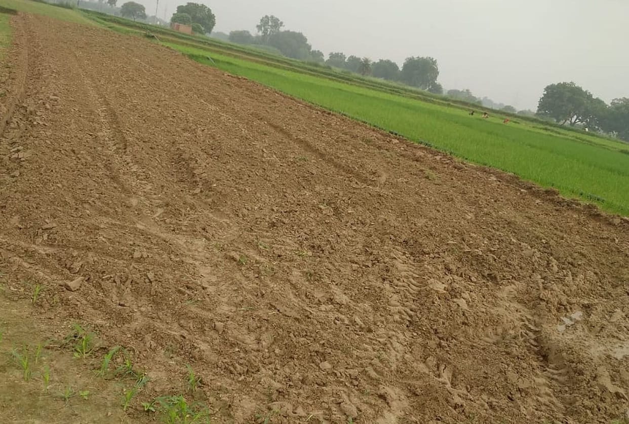 man did work in field in fatehpur