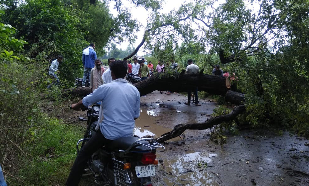 Trees fell on Deoband-Karanjali road, traffic disrupted
