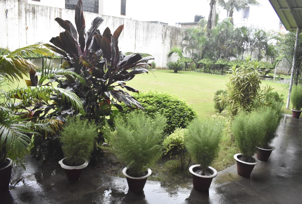 special story of gardening in Peace Church by Bishop see beautiful garden photos