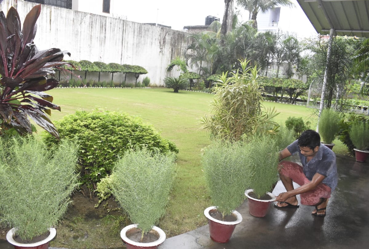 special story of gardening in Peace Church by Bishop see beautiful garden photos