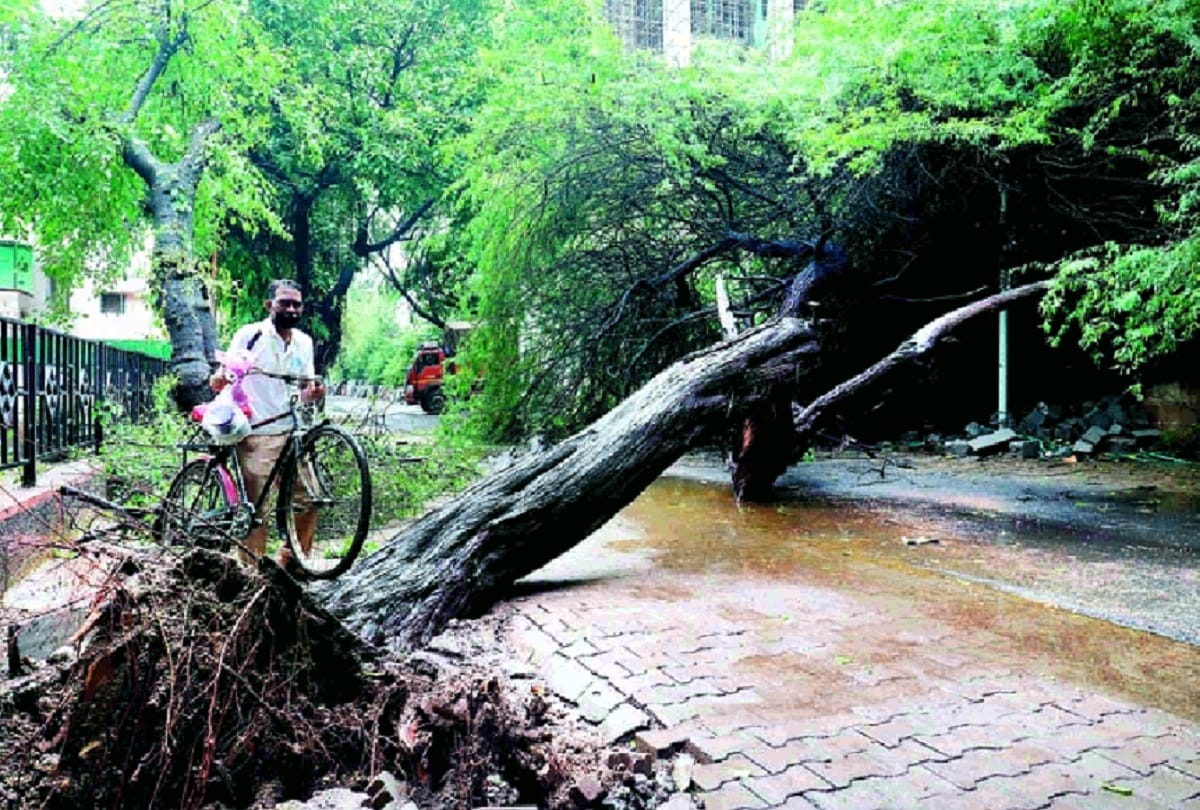 Meteorological Department predicts rain will continue for next one week in Delhi-NCR