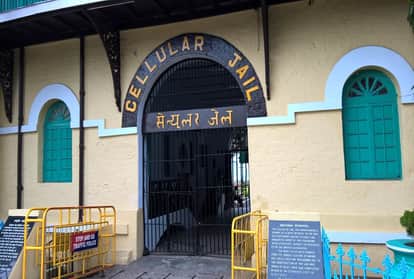 सेल्यूलर जेल