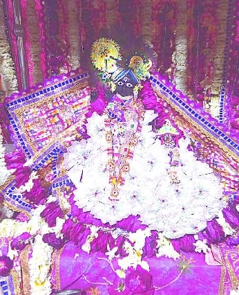 Bihari ji's bond ended in Biharpur, celebrating birth anniversary at night