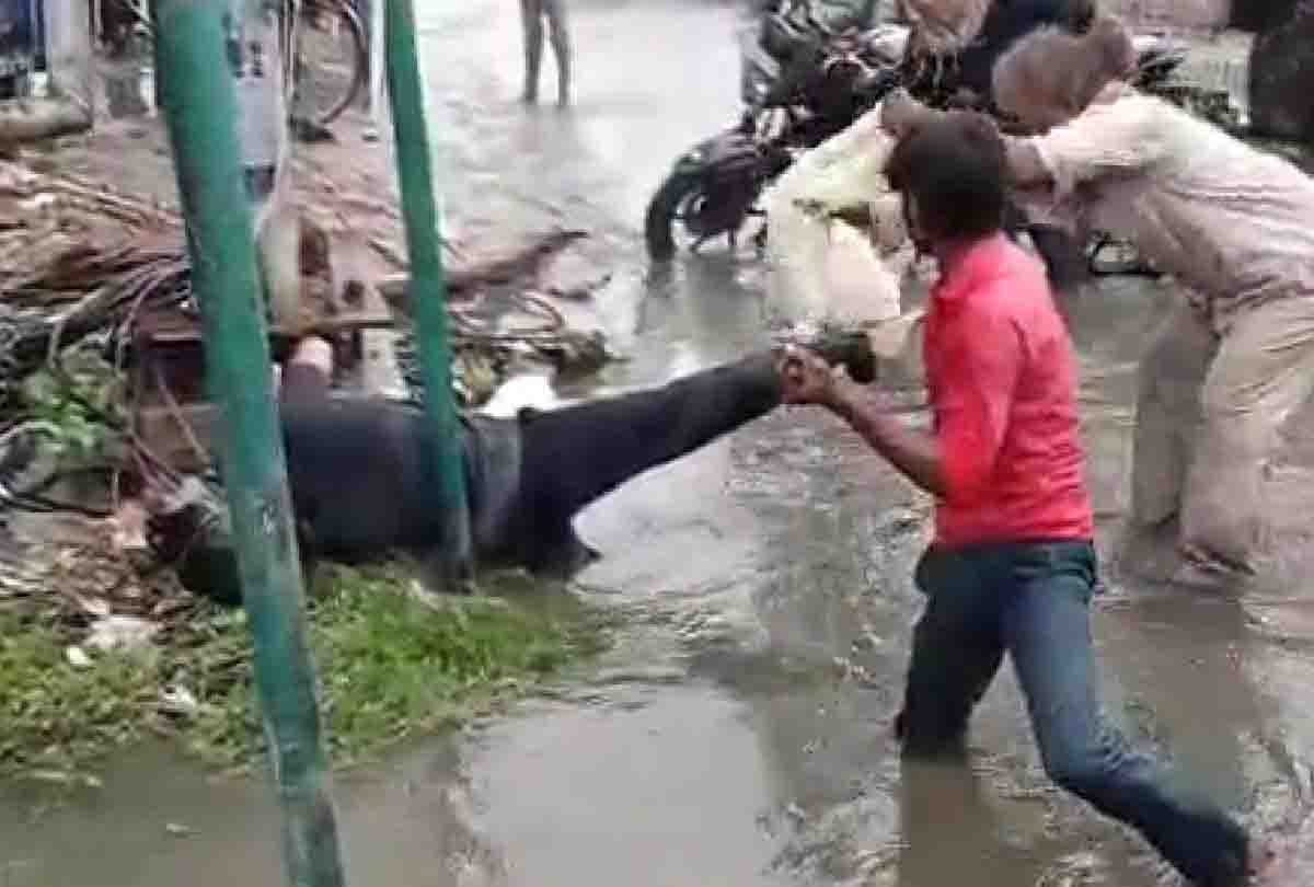 Kanpur News: water logging on roads after heavy Rain in Kanpur and 13 other districts