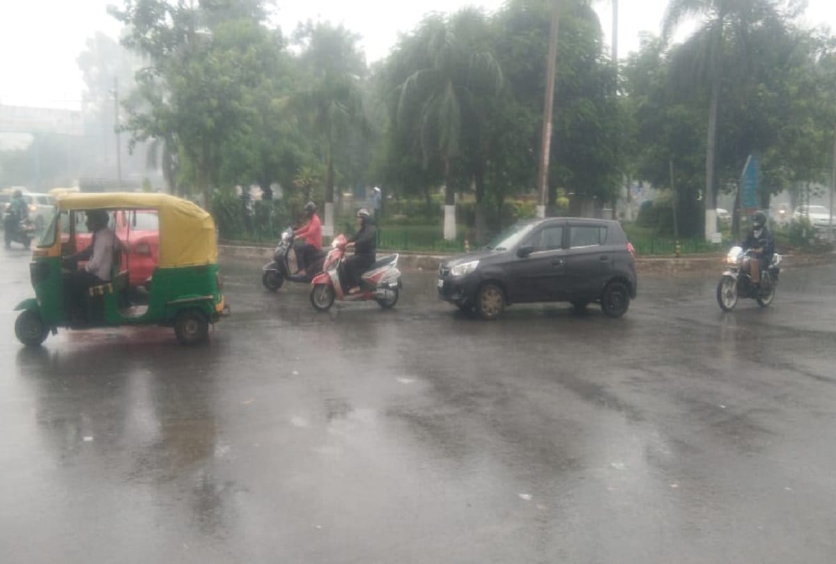 Delhi Weather update today: delhi noida ghaziabad faridabad gurugram heavy rainfall water logging traffic trees fallen