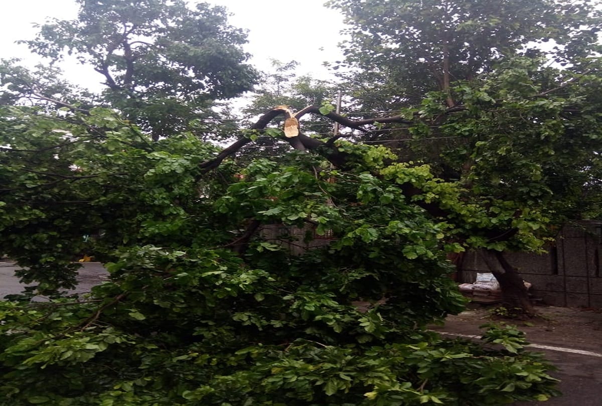 Delhi Weather update today: delhi noida ghaziabad faridabad gurugram heavy rainfall water logging traffic trees fallen