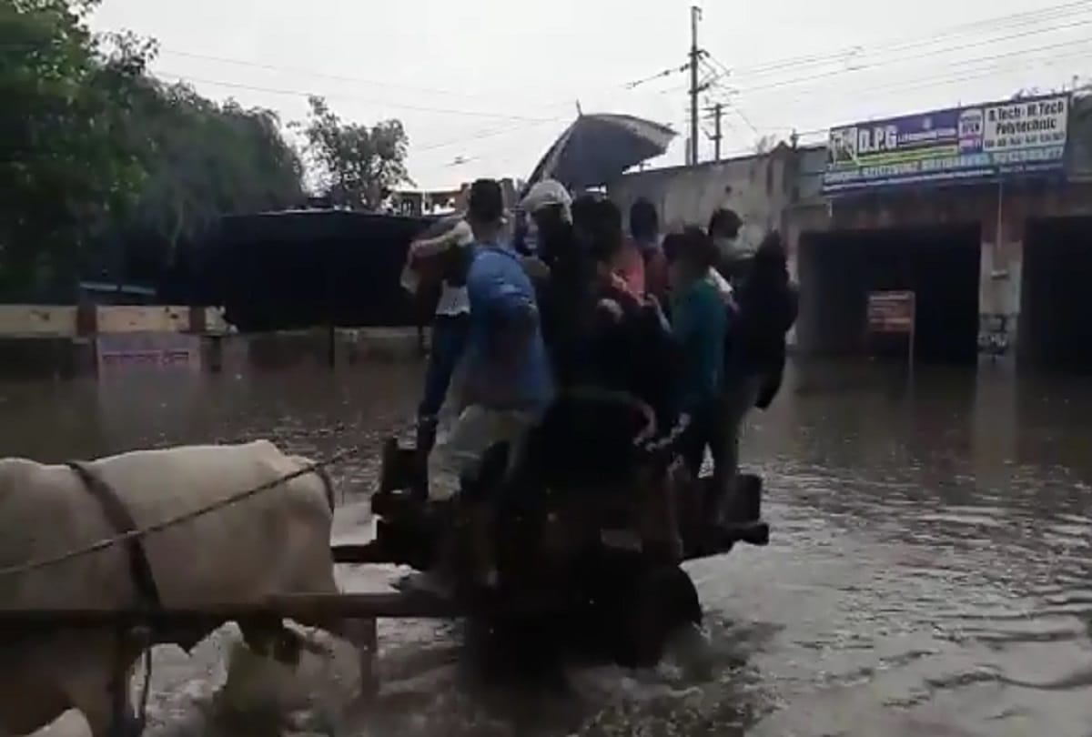 Delhi weather update today tughlaqabad under pass water logging people crossing by bullock cart fall in water video viral
