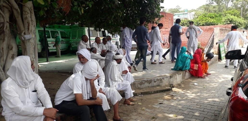 women commited suicide after nine month of love marriage, crime, jind