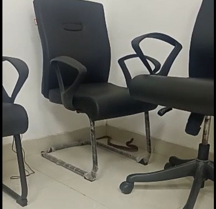 Water filled in AIIMS-2 campus, stirred by snake found in doctor room.