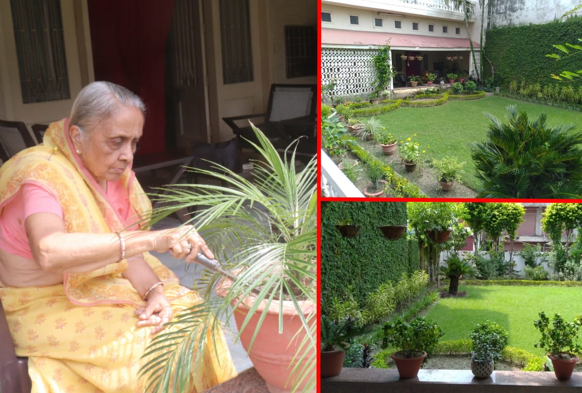 special story of Urmila khetan gardening in house at Gorakhpur