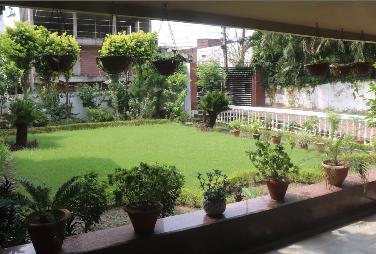 special story of Urmila khetan gardening in house at Gorakhpur