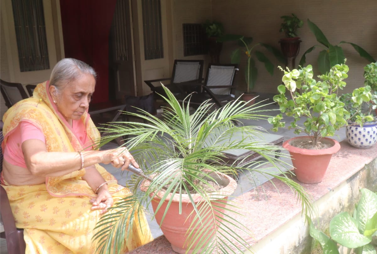 special story of Urmila khetan gardening in house at Gorakhpur