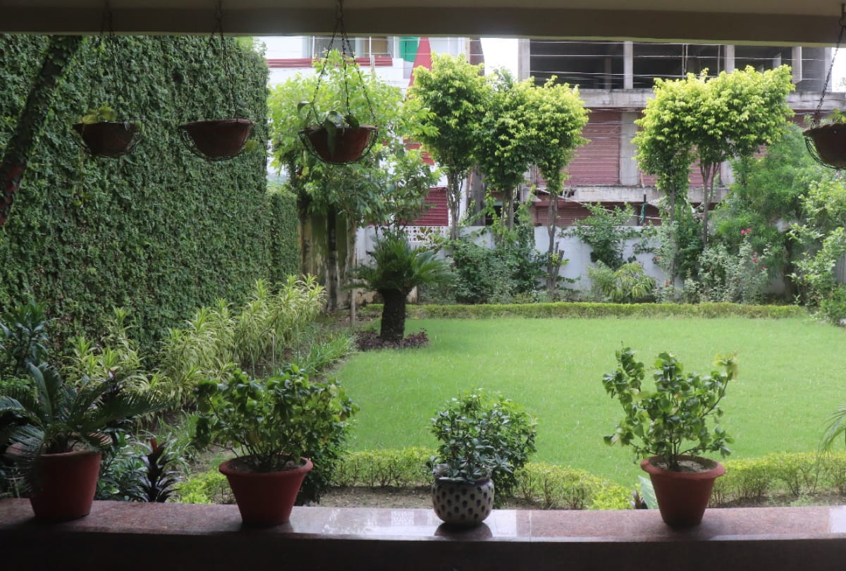 special story of Urmila khetan gardening in house at Gorakhpur