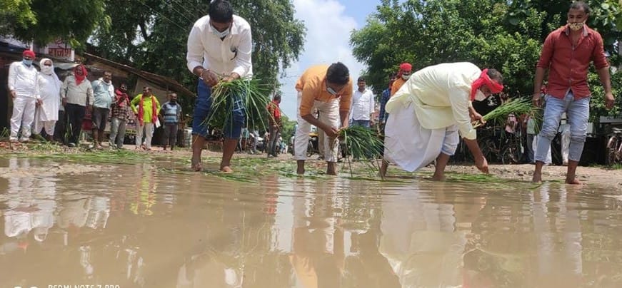 Former MLA planted paddy on the road with supporters