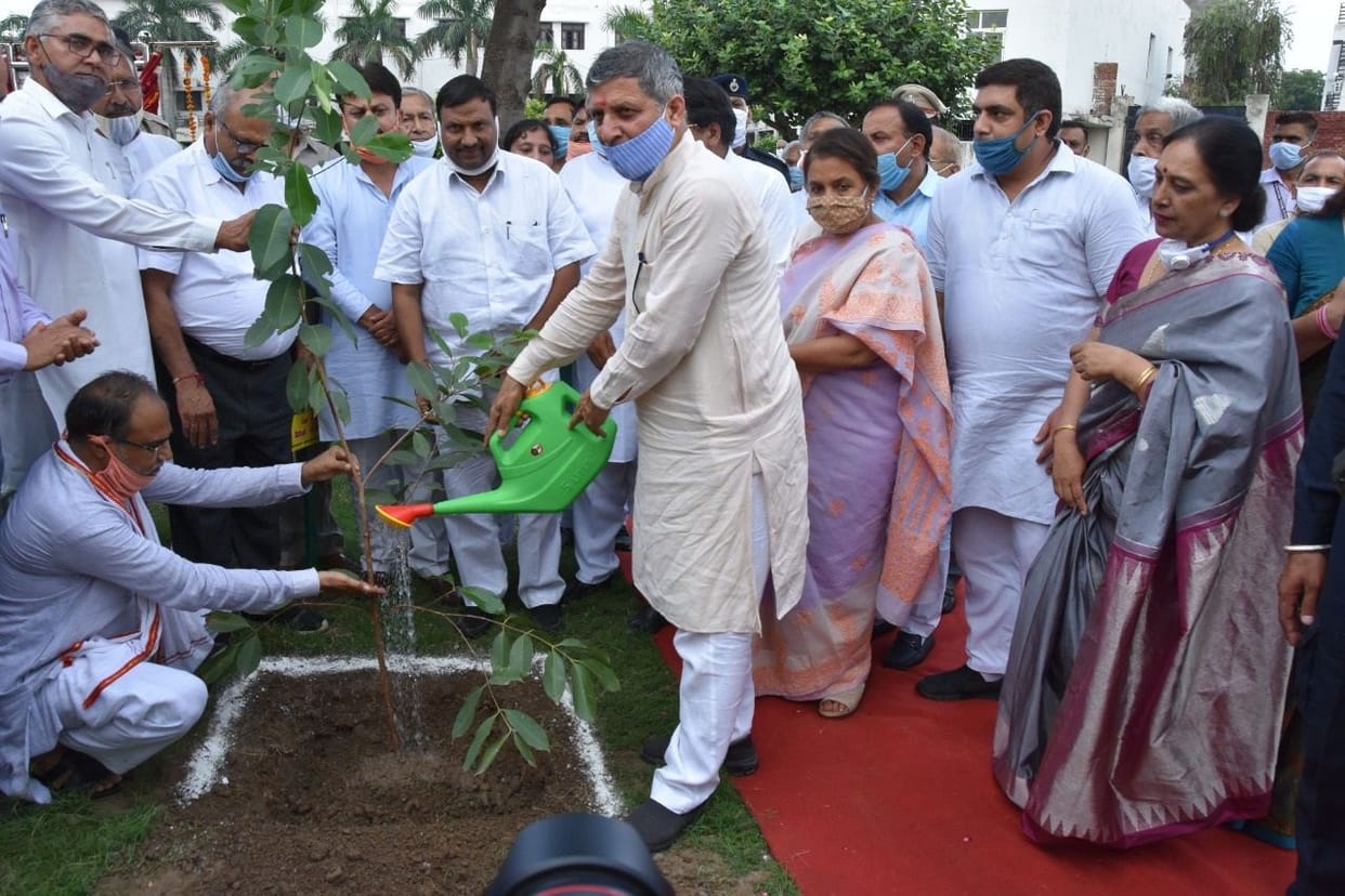 four lakh sapling to be planted in the disrict