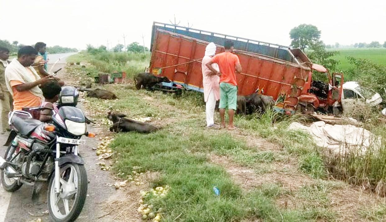 road accident, driver death, narwana