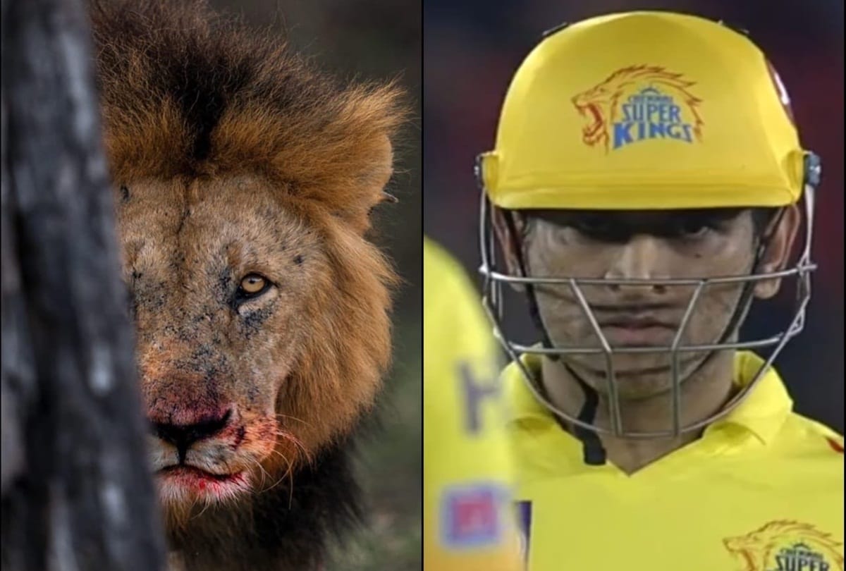 Chennai Super kings Imran Tahir is oldest player of IPL MS Dhoni is most successful captain of tournament