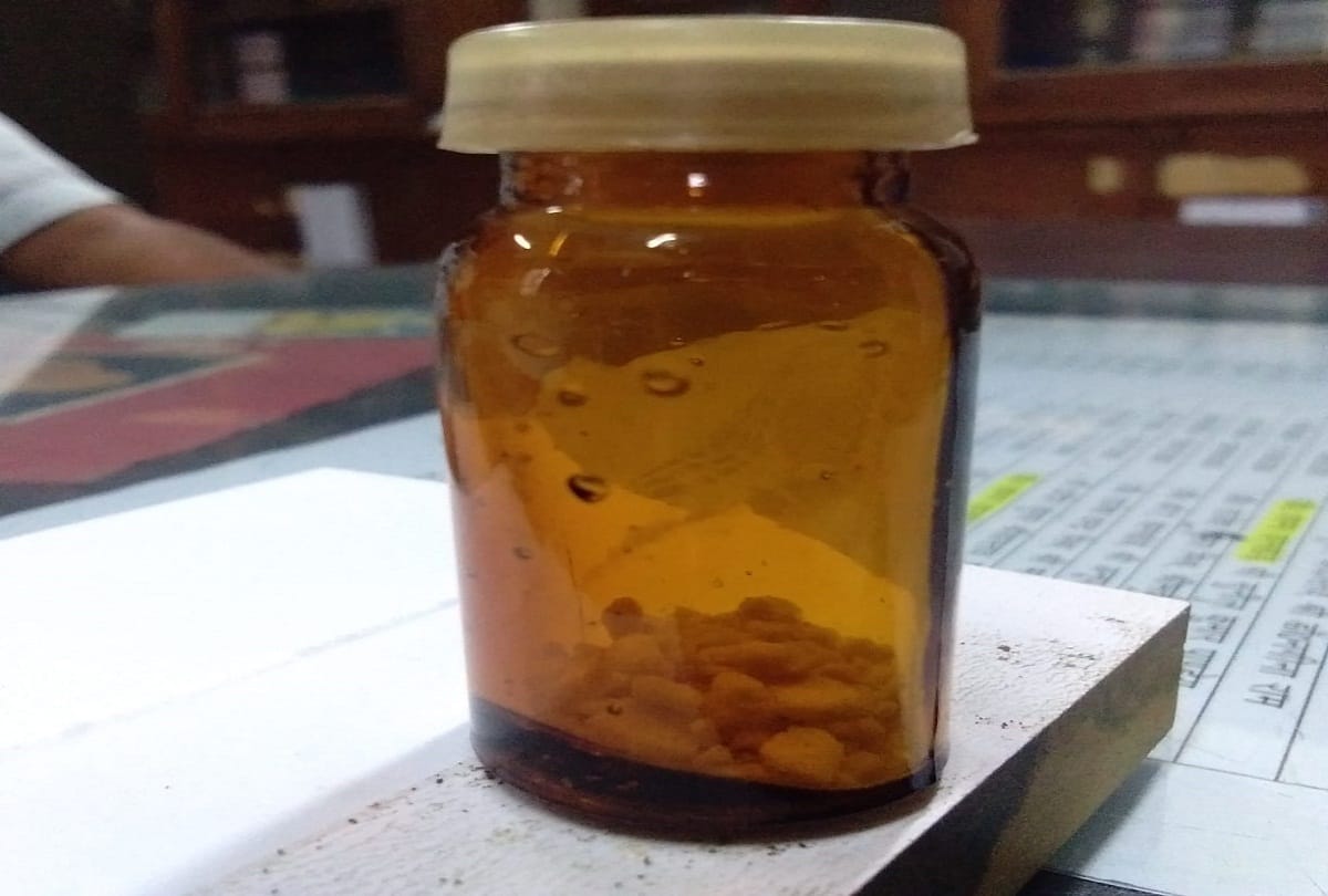 Independence Day 2020: Dandi salt made by Mahatma Gandhi in Prayagraj was auctioned