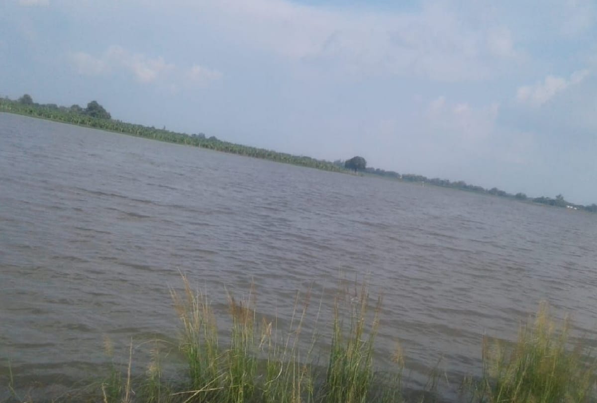 Gorakhpur Flood News: rivers water level came down people relief and Ghaghra river above danger mark