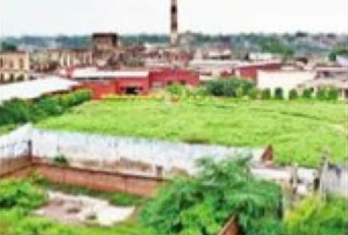 Jones Mill Land Scam Case Mafia 2596 Crores Lands Recommended To Declared Mafia