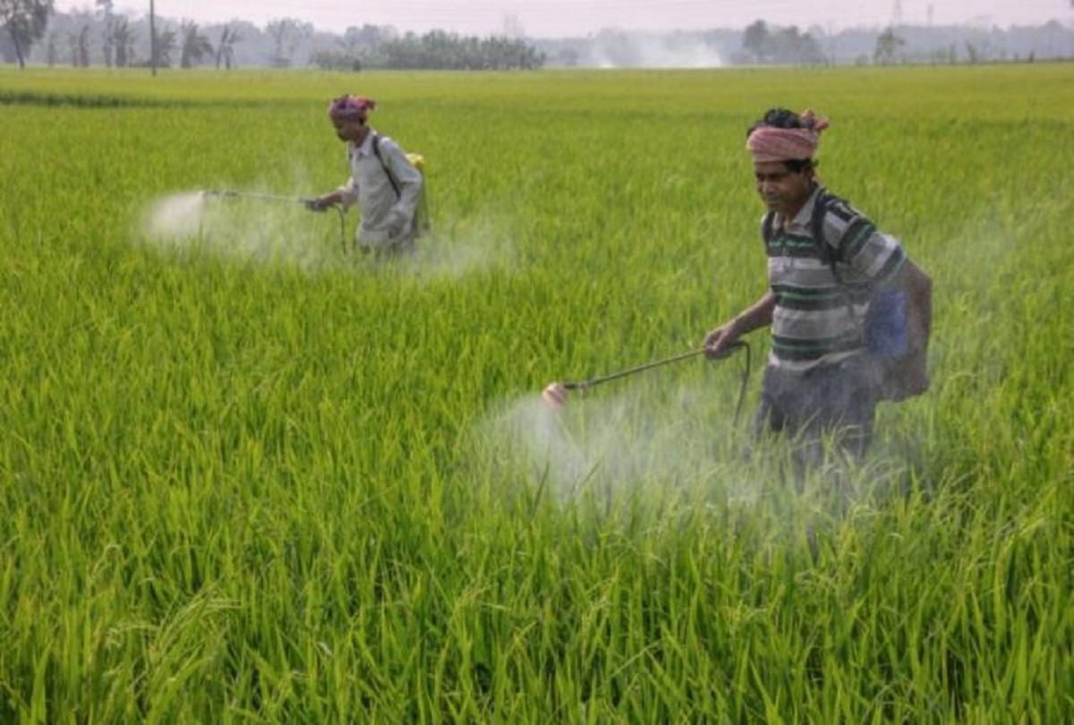 Ban on issuing new licenses for pesticides in Punjab