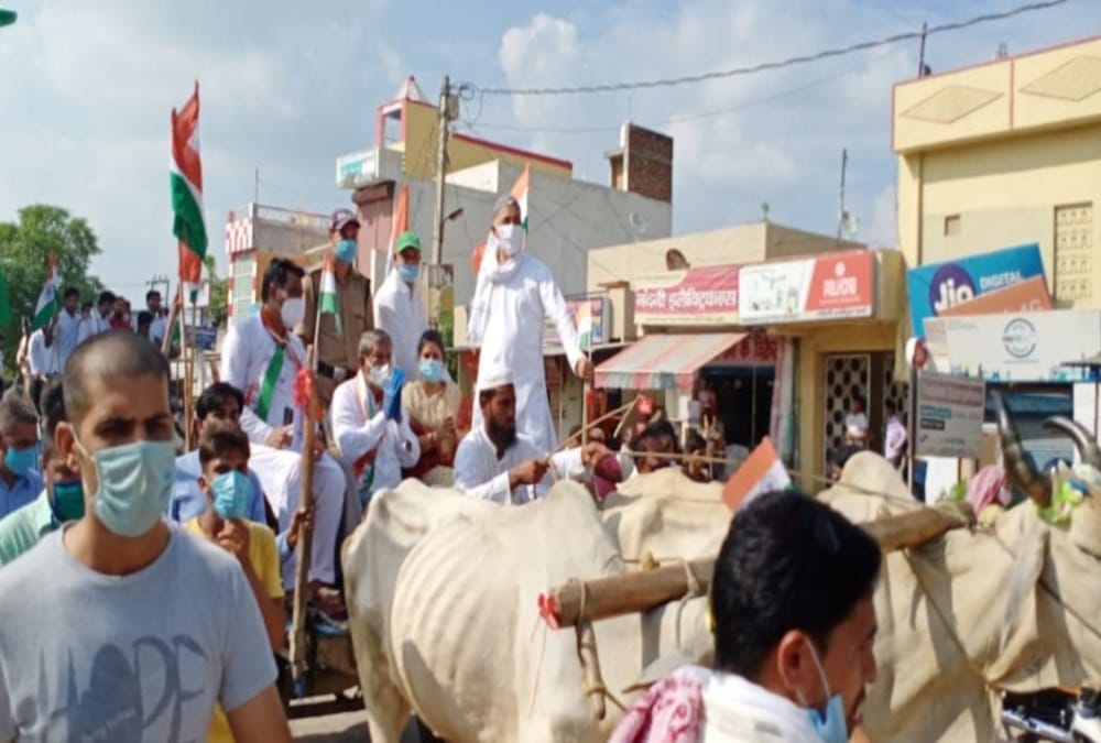 Independence Day 2020: Former Cm Harish Rawat Doing Tiranga yatra on bullock cart in haridwar With congress workers