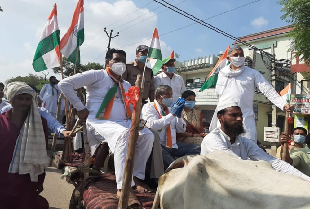 Independence Day 2020: Former Cm Harish Rawat Doing Tiranga yatra on bullock cart in haridwar With congress workers