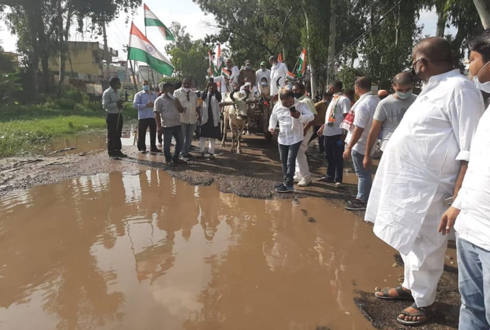 Independence Day 2020: Former Cm Harish Rawat Doing Tiranga yatra on bullock cart in haridwar With congress workers