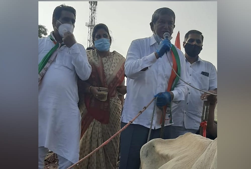 Independence Day 2020: Former Cm Harish Rawat Doing Tiranga yatra on bullock cart in haridwar With congress workers