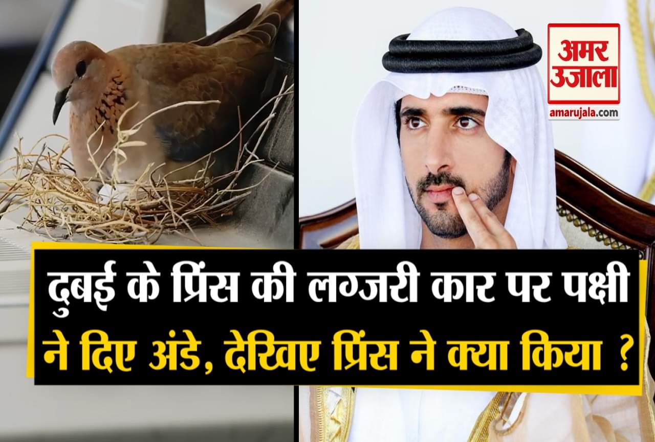 दुबई क्राउन प्रिंस