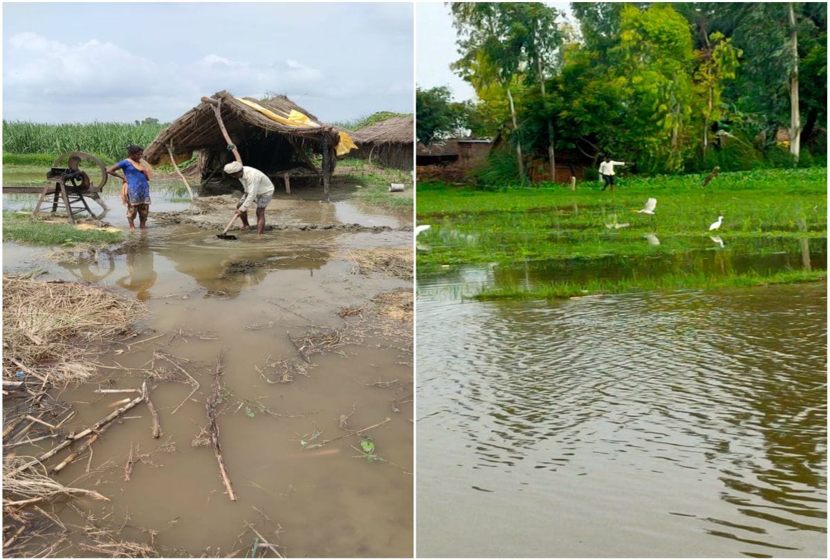 Medium Flood In Ganga River Kachla Ghat Alert By Irrigation Department