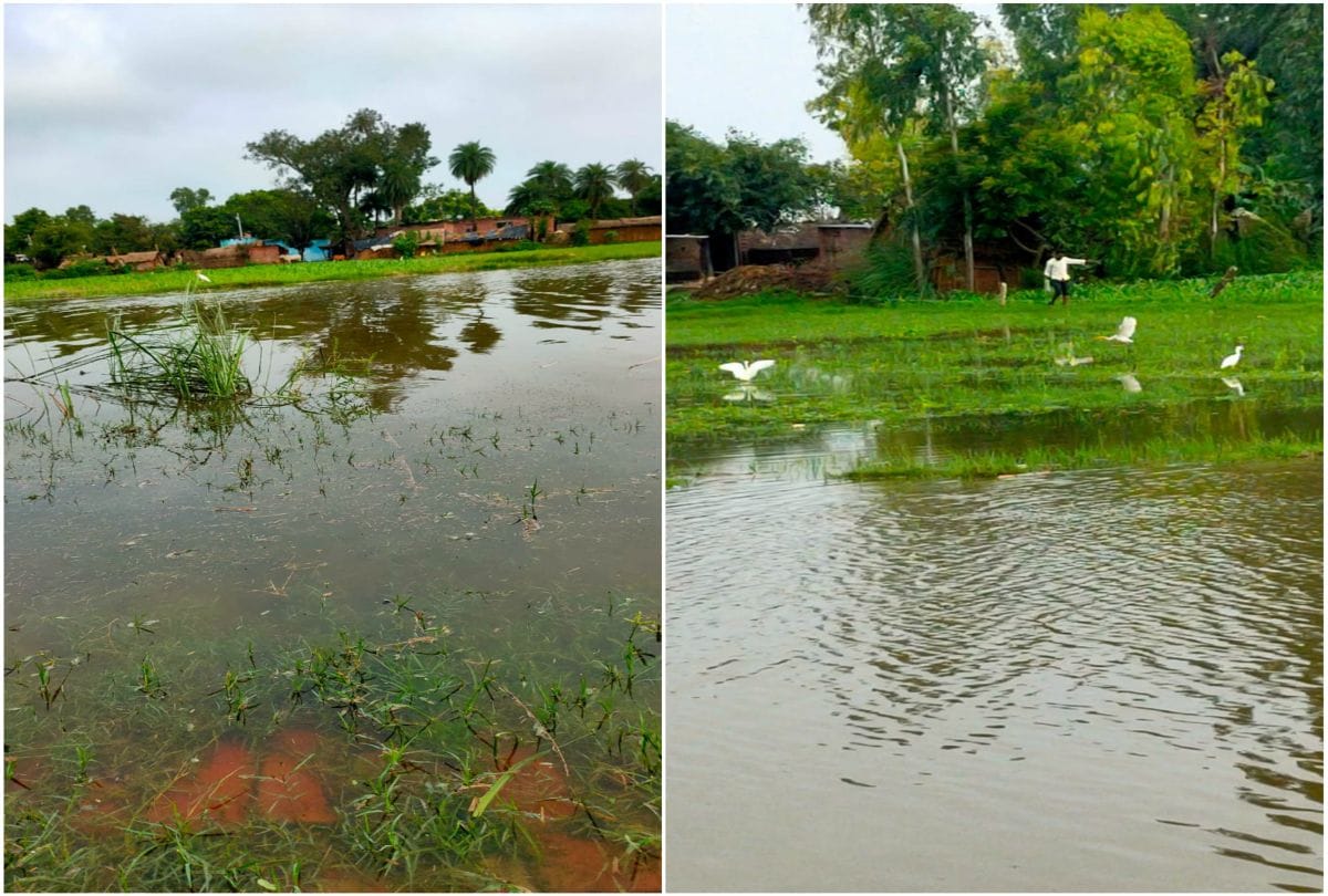 Medium Flood In Ganga River Kachla Ghat Alert By Irrigation Department