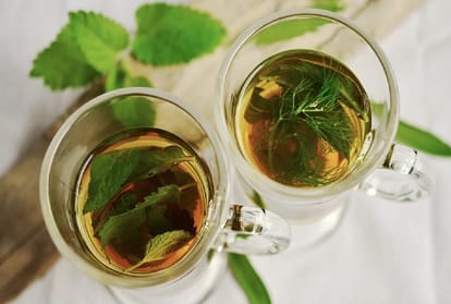 Can excessive consumption of decoction cause jaundice